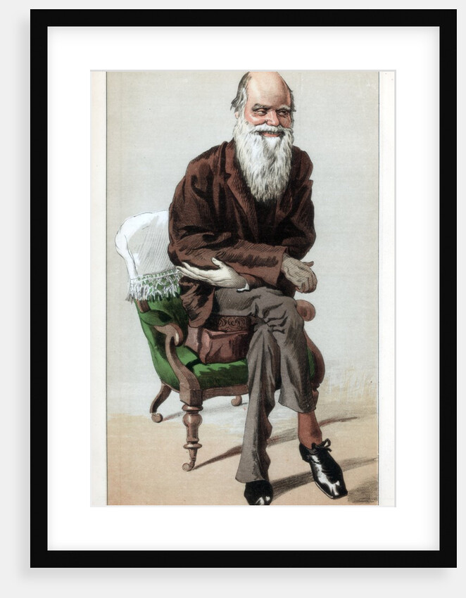 Caricature of Charles Darwin by Anonymous