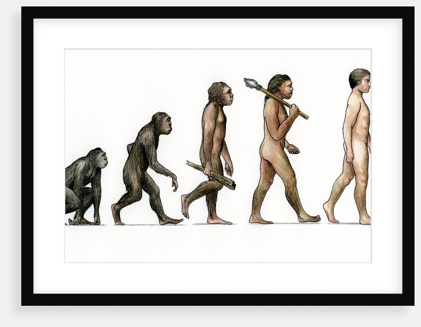 Evolution of man by Anonymous