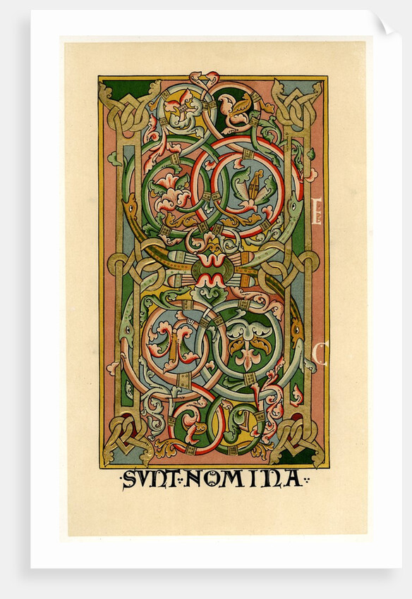 Illuminated initial H by Anonymous