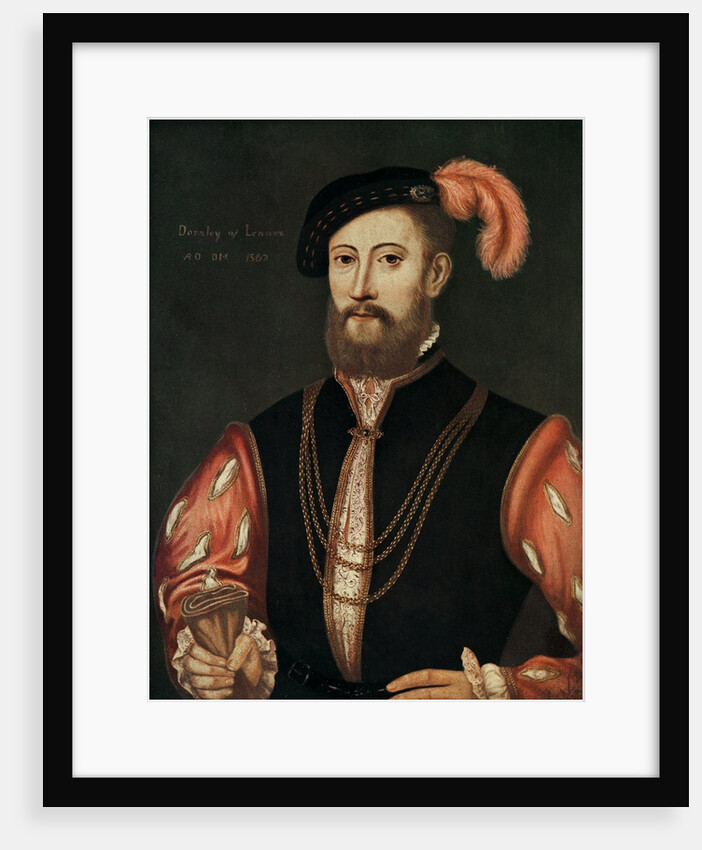 Lord Darnley by Anonymous