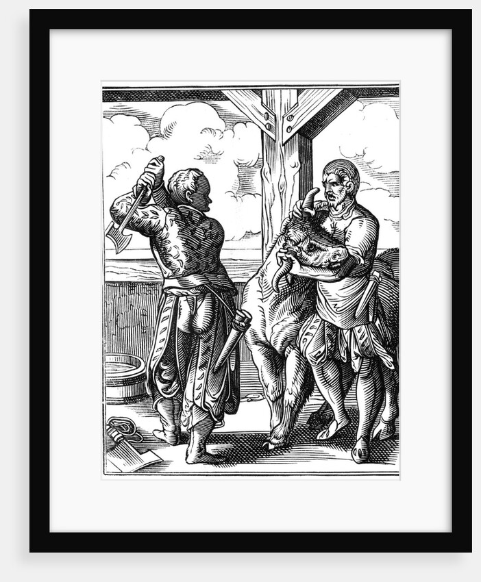 16th century butcher by Anonymous