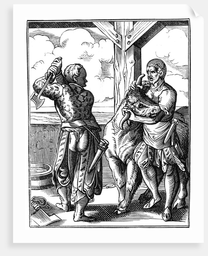 16th century butcher by Anonymous