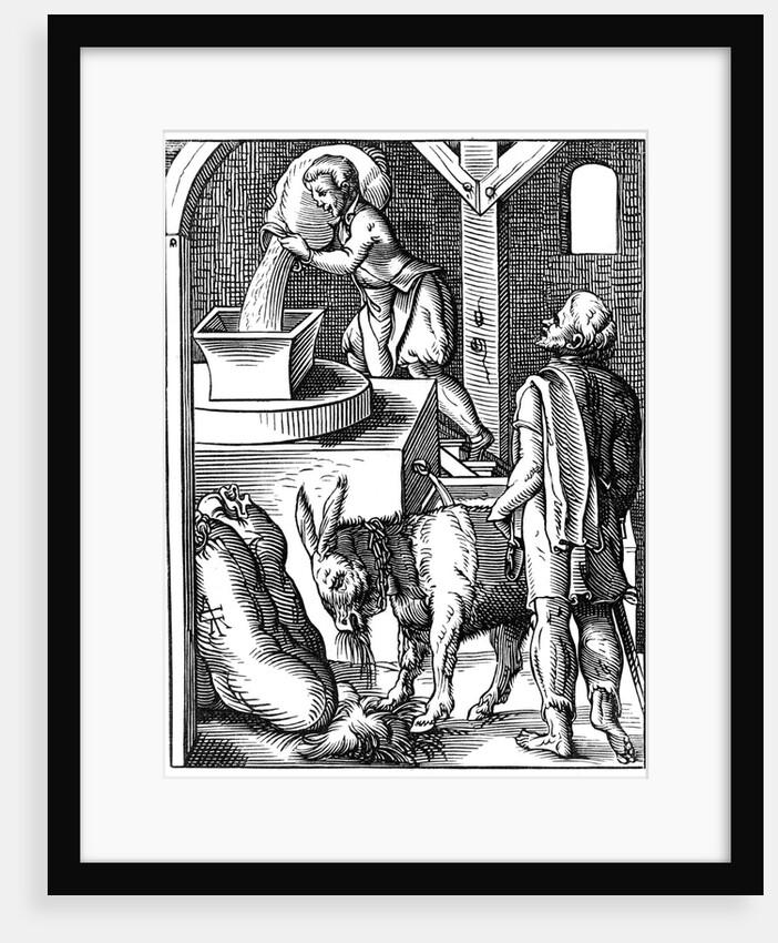 16th century miller by Anonymous