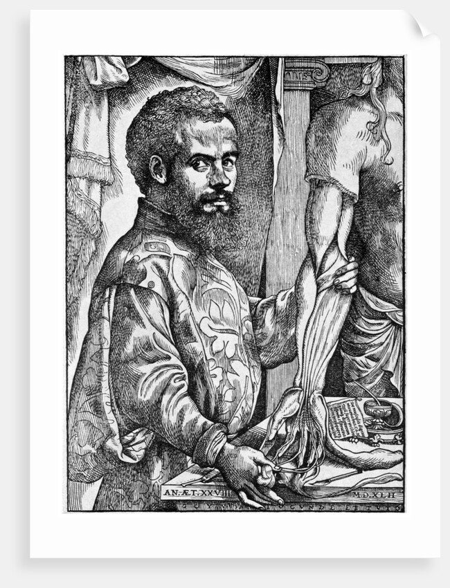 Andreas Vesalius with dissected human body by Anonymous