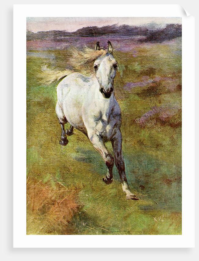 Study from life for Colt Hunting in the New Forest by Anonymous