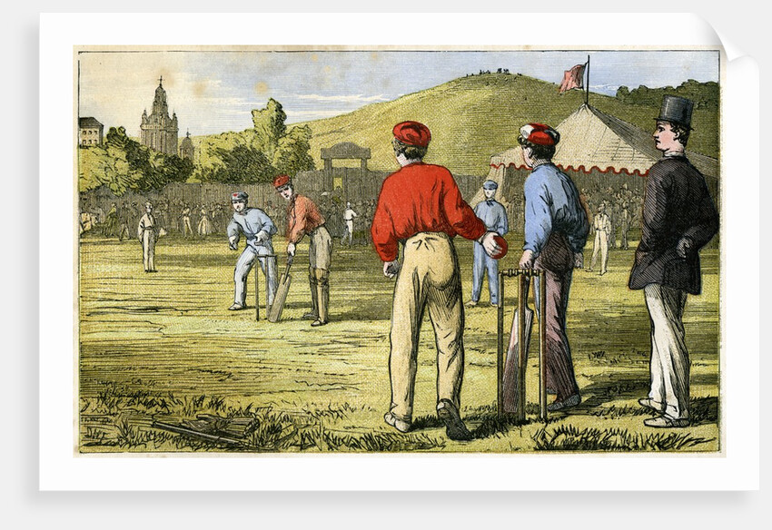 Cricket game by Anonymous