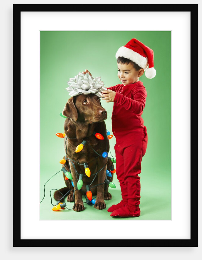 Young boy wrapping Christmas lights around a dog by Anonymous