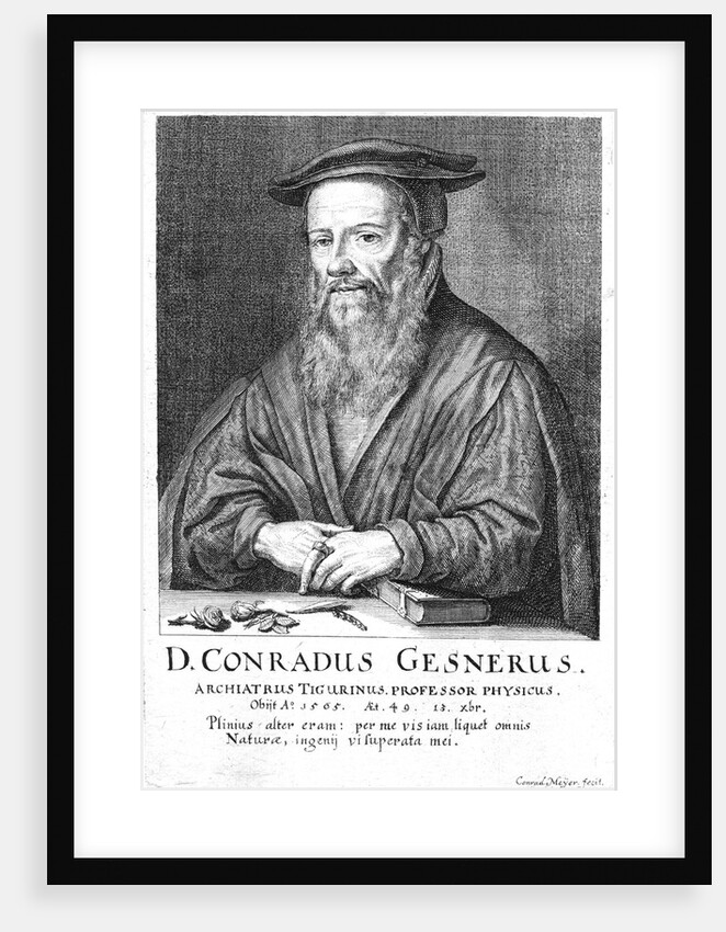 Conrad Gesner by Anonymous