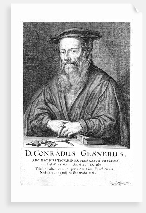 Conrad Gesner by Anonymous