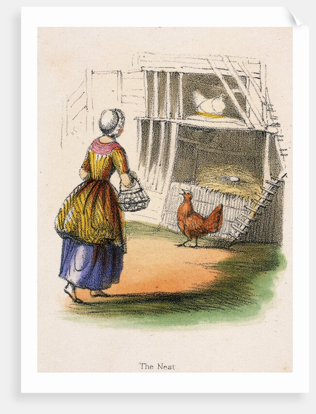 Woman collecting chicken eggs by Anonymous