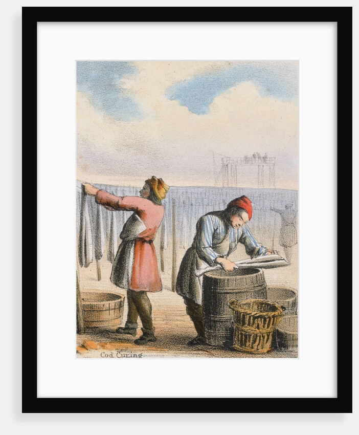 Men curing cod by Anonymous