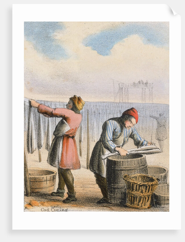 Men curing cod by Anonymous