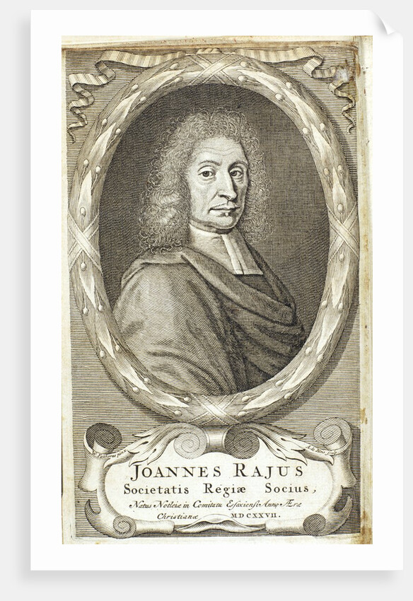 John Ray by Anonymous