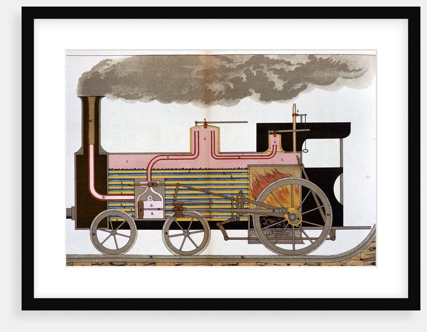 Sectional view of steam railway locomotive by Anonymous