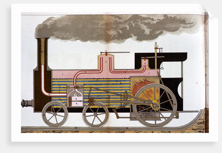 Sectional view of steam railway locomotive by Anonymous