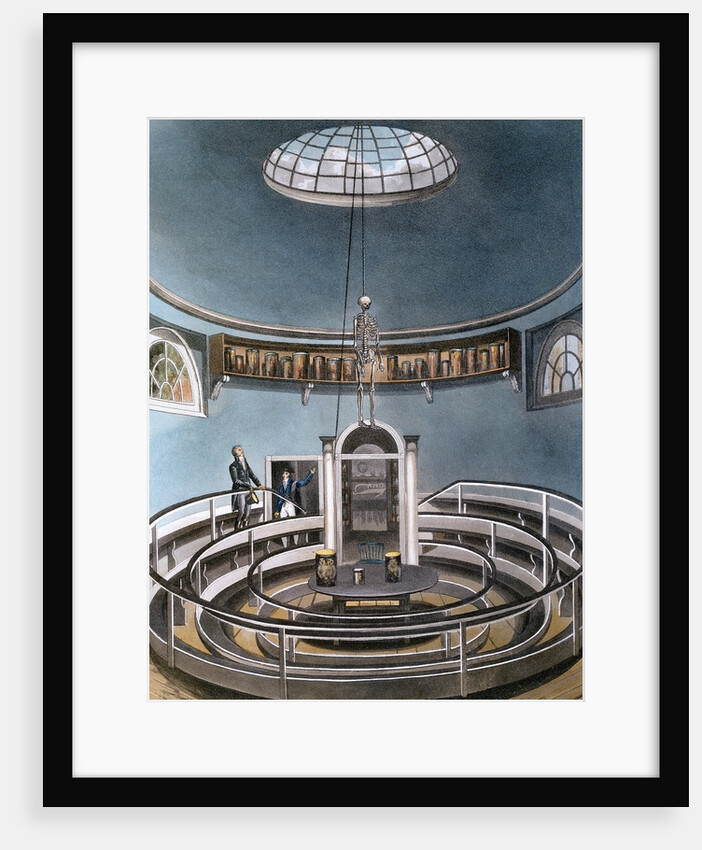 Anatomy theater at University of Cambridge by Anonymous
