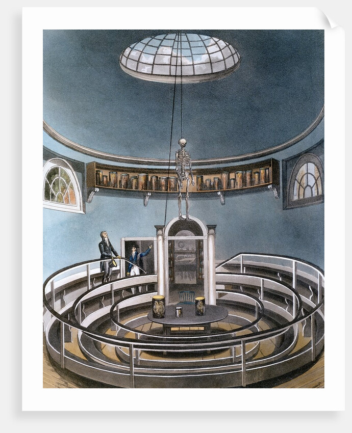 Anatomy theater at University of Cambridge by Anonymous