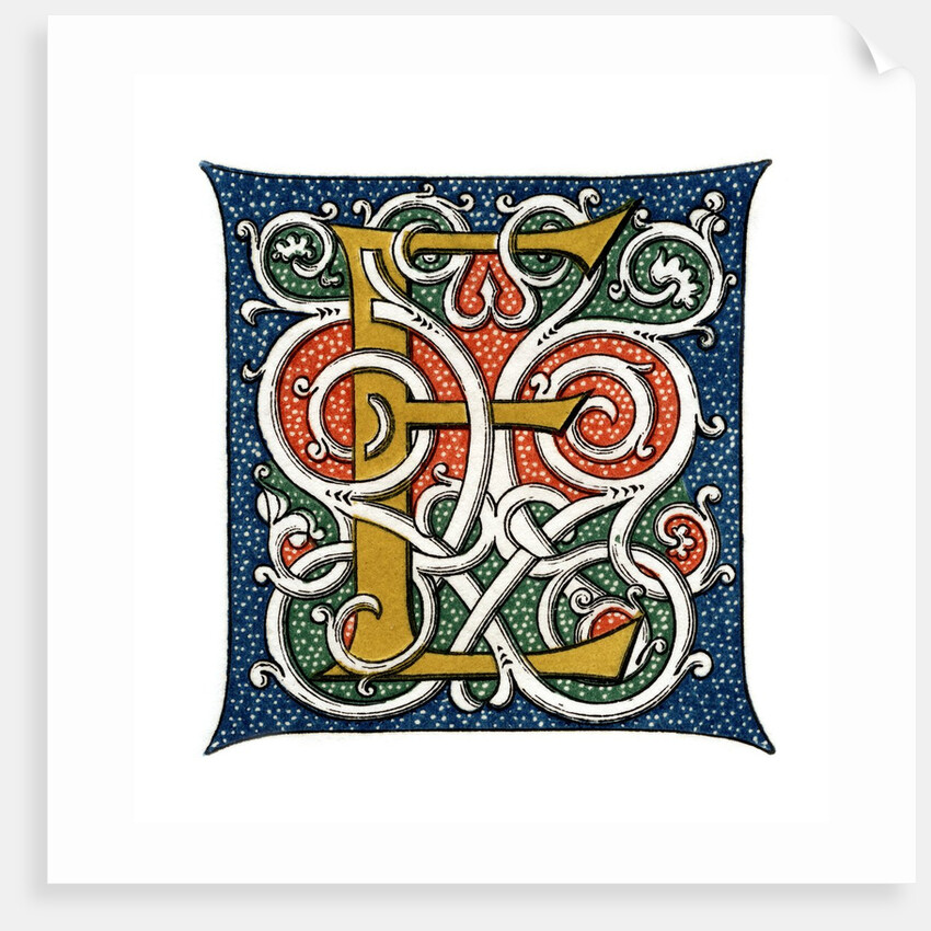 Initial letter 'E' by Anonymous
