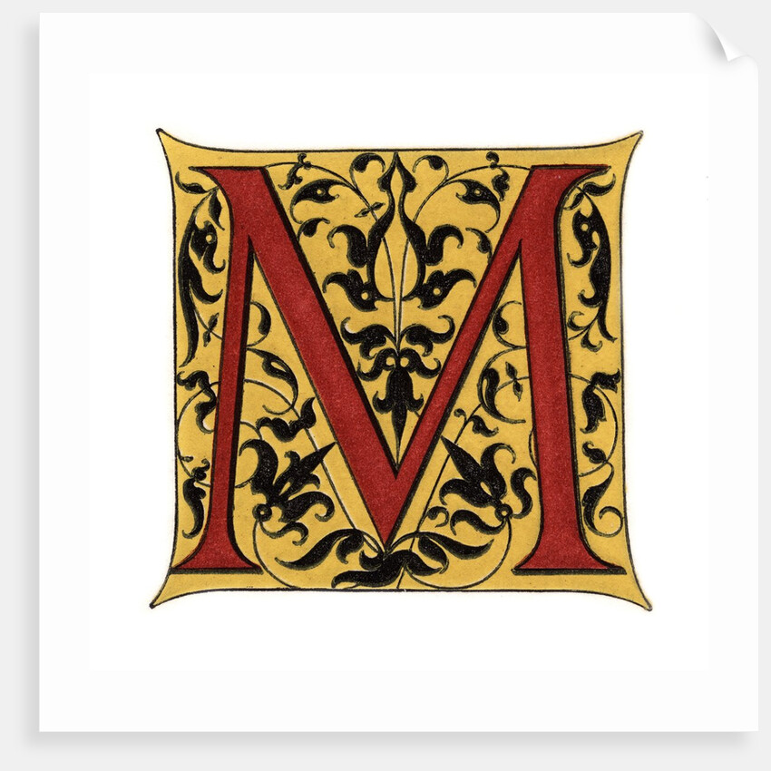 Initial letter 'M' by Anonymous