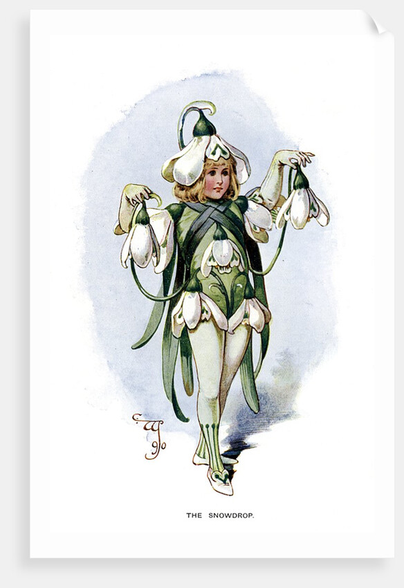 The Snowdrop by Anonymous