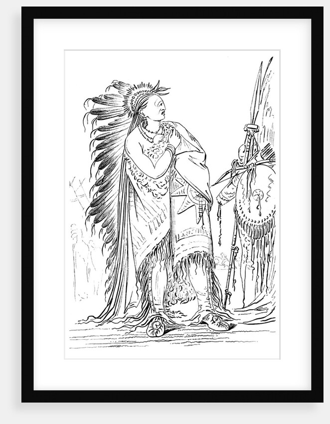 Two Crows by George Catlin