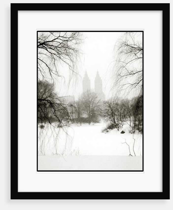 Central Park Snow by Anonymous