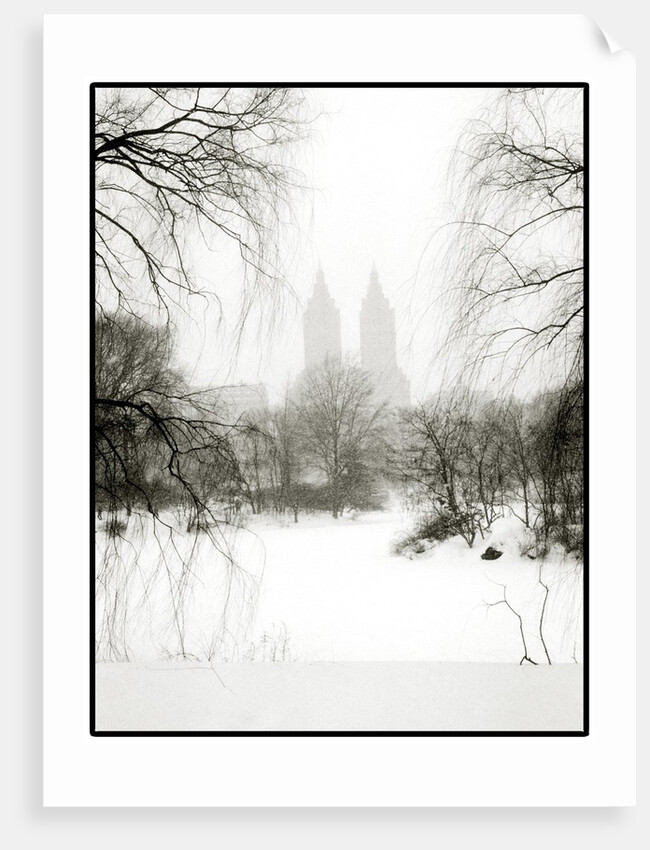 Central Park Snow by Anonymous