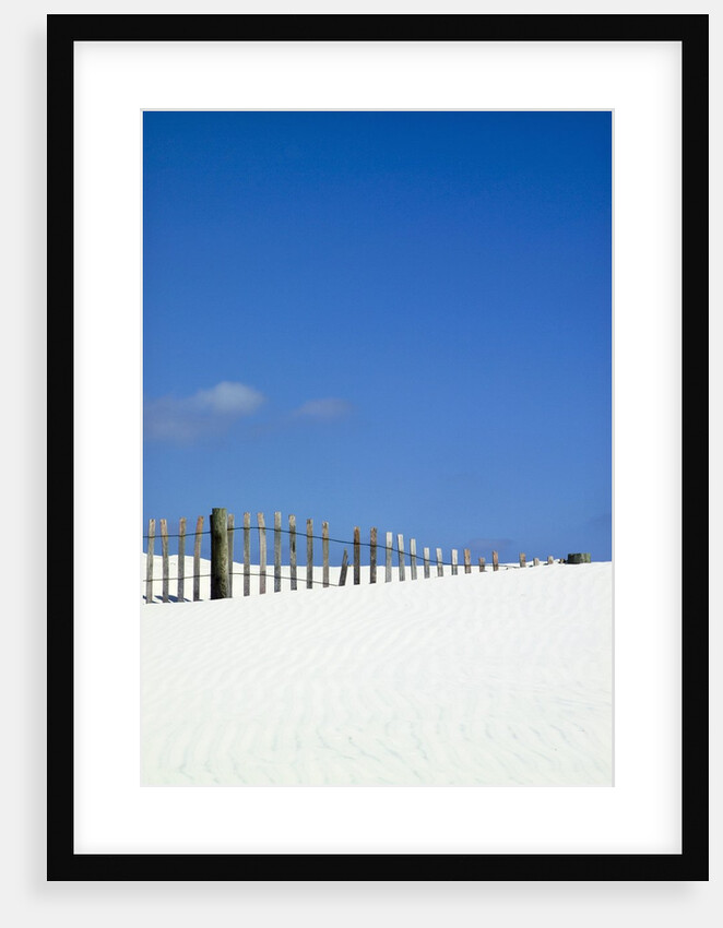 Little Talbot Island by Anonymous