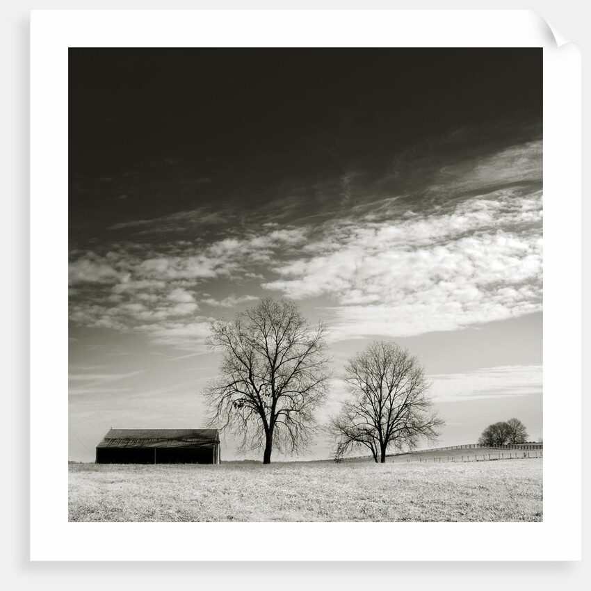 Newnan by Anonymous