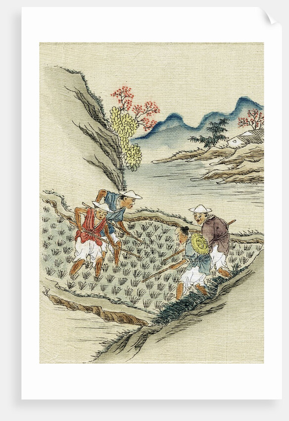 Workers cultivating rice by Anonymous