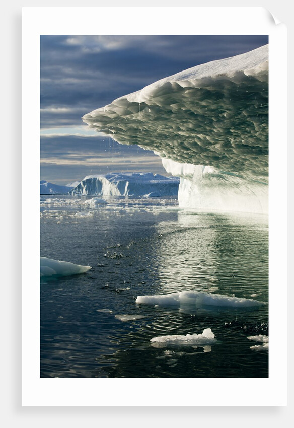 Melting icebergs in Disko Bay in Greenland by Anonymous
