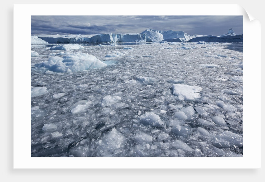 Jakobshavn Glacier on Disko Bay in Greenland by Anonymous
