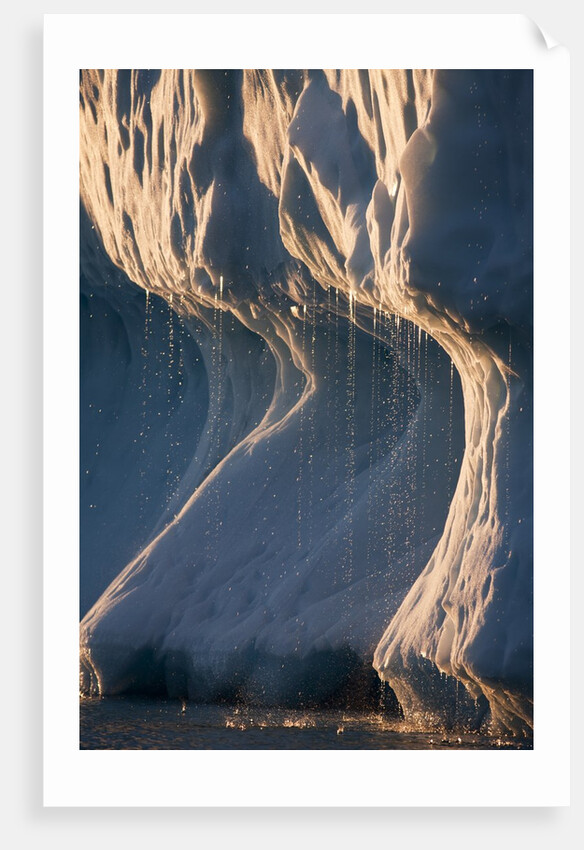 Melting iceberg in Disko Bay in Greenland by Anonymous