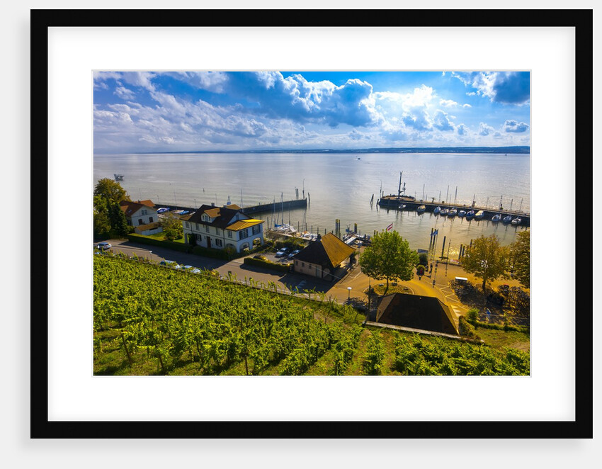 Vineyards, the medieval city of Meersburg on Lake Constance (Bodensee), Baden-W?rttemberg, Germany by Anonymous