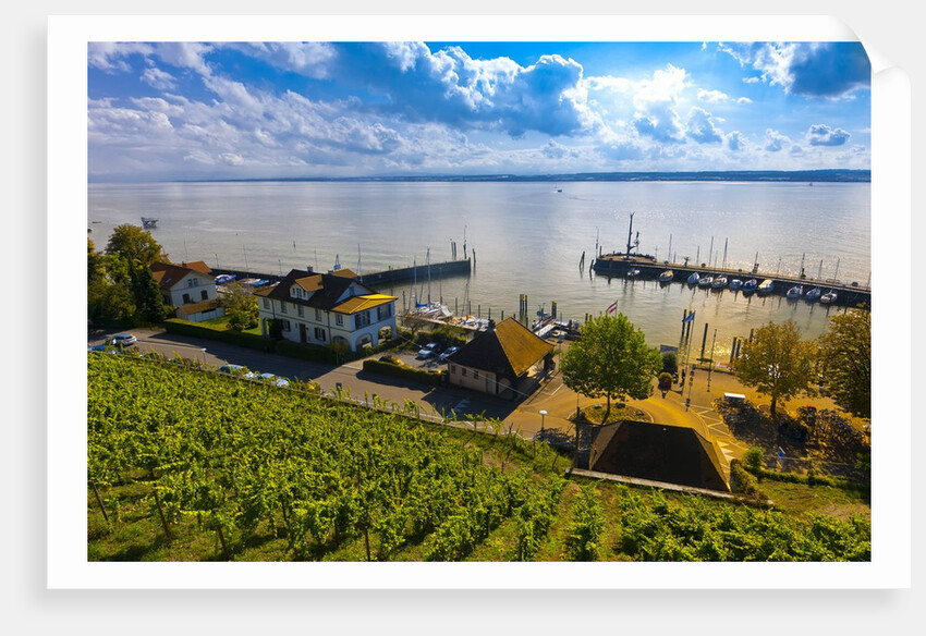 Vineyards, the medieval city of Meersburg on Lake Constance (Bodensee), Baden-W?rttemberg, Germany by Anonymous