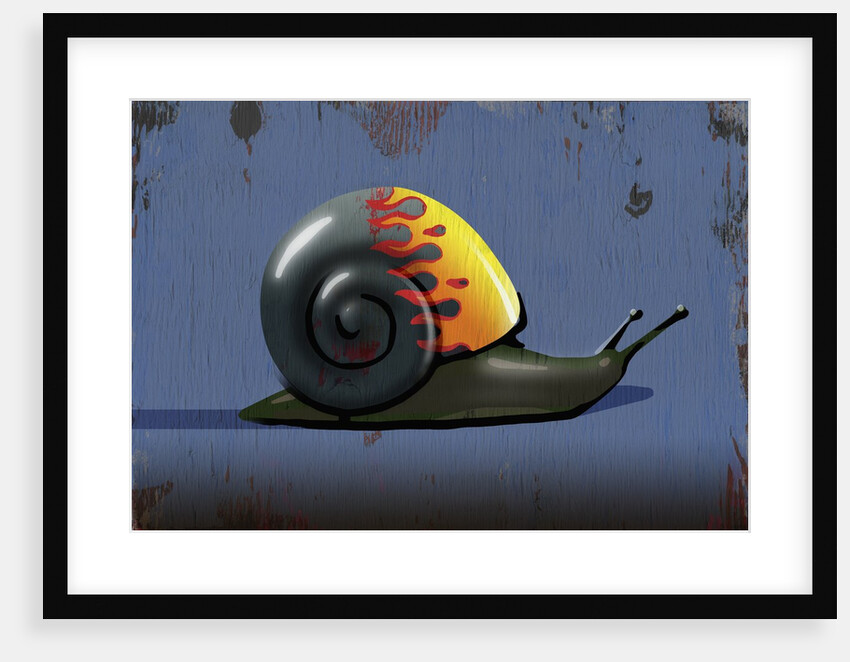 Hot Rod Snail by Anonymous