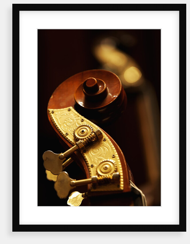Double bass headstock by Anonymous