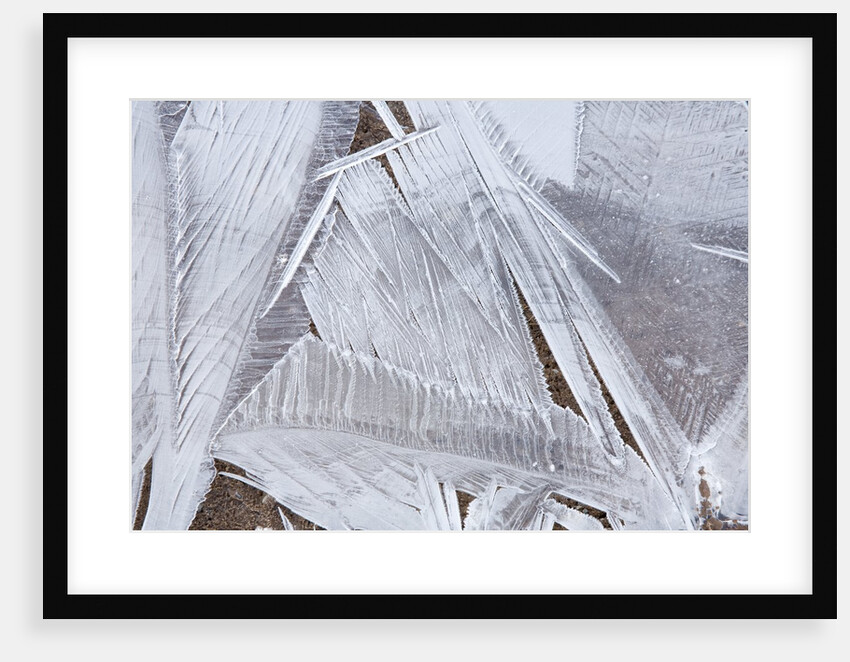 Ice crystals over creek by Anonymous