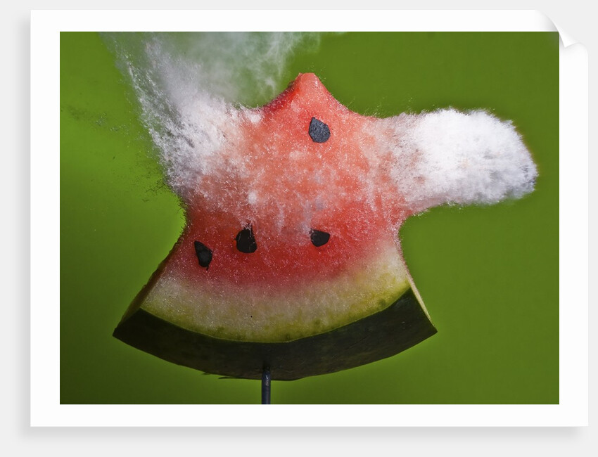 Watermelon Explosion by Anonymous