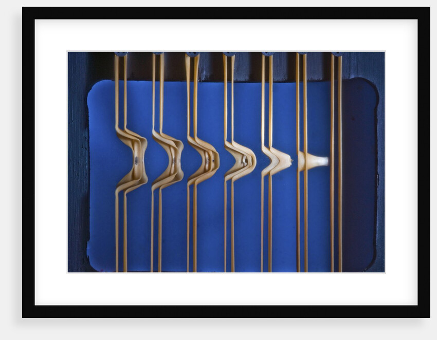 Rubber Band Boing by Anonymous