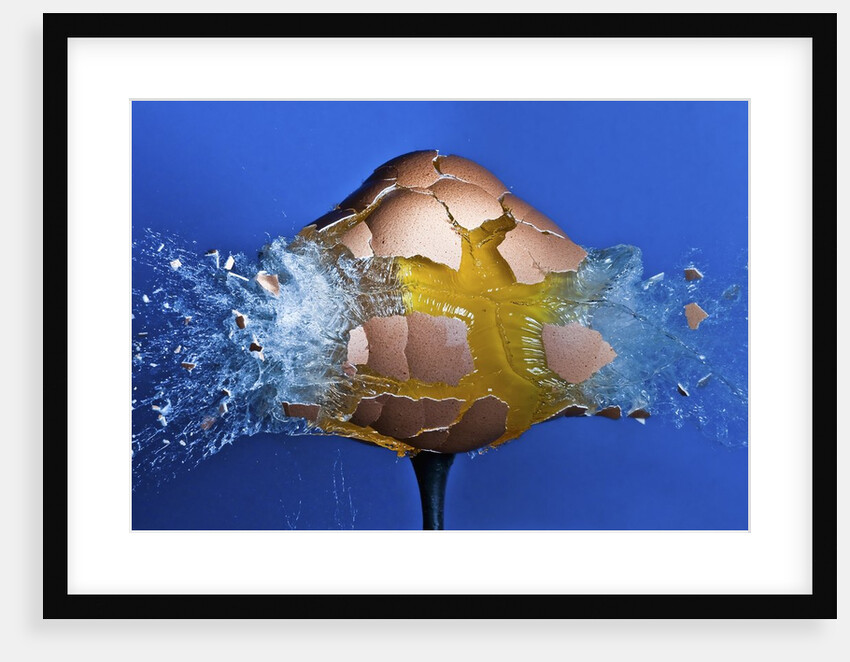 Eggceptional by Anonymous