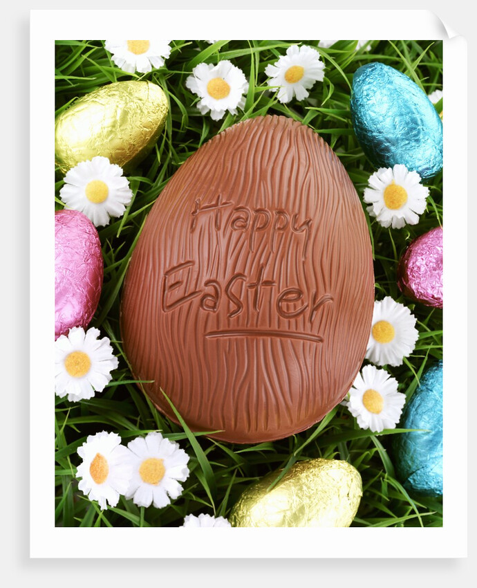 Chocolate Easter eggs in grass by Anonymous