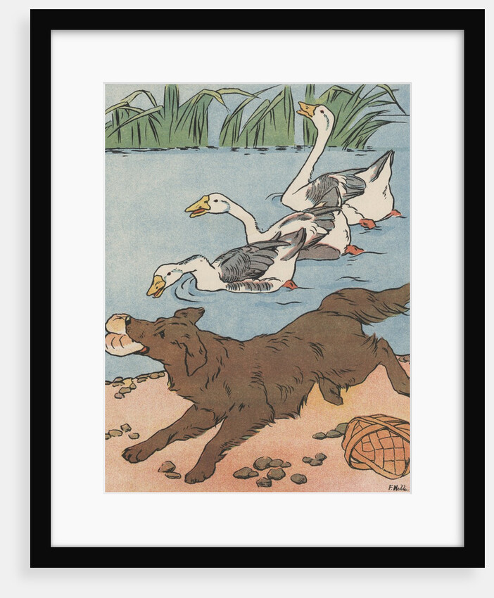 Illustration of geese honking at dog stealing food from basket by Anonymous