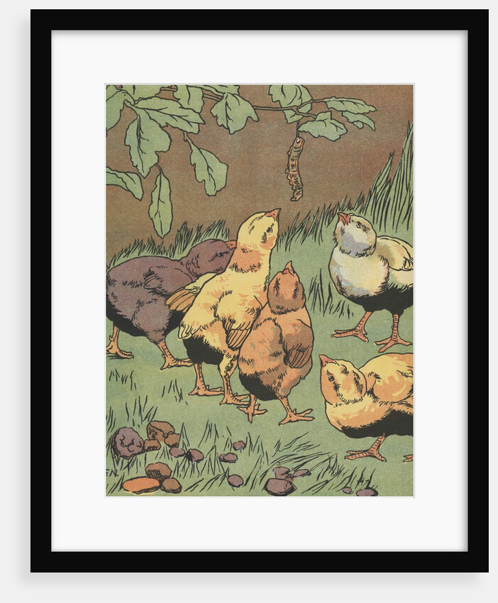 Illustration of chicks looking at caterpillar by Anonymous