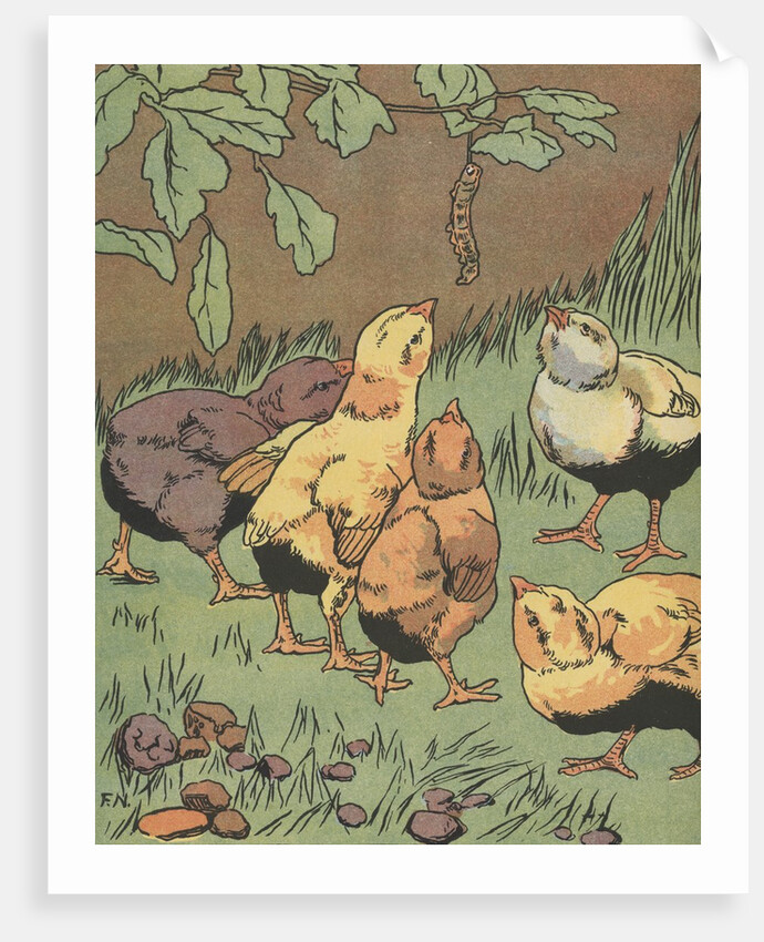 Illustration of chicks looking at caterpillar by Anonymous