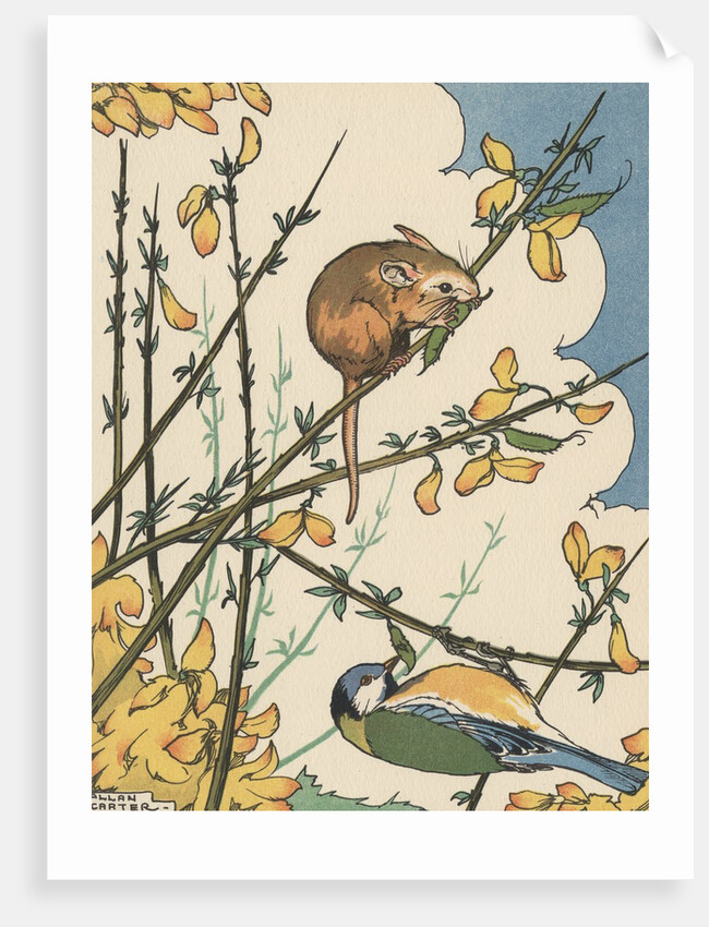Illustration of mouse and bird feeding on branches by Anonymous