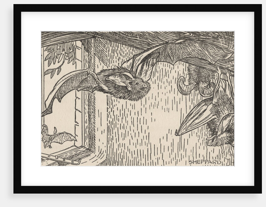 Illustration of bats inside house by Anonymous