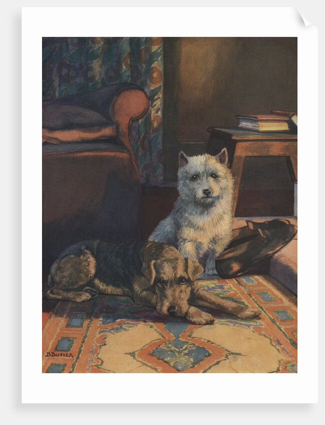 Illustration of dogs with slippers by Anonymous