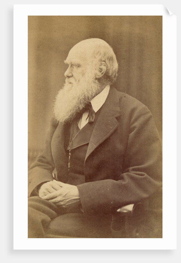 Charles Darwin by Anonymous