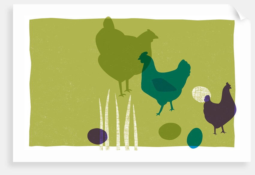 Chickens by Anonymous